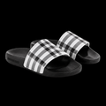 BURB3RRY Slides